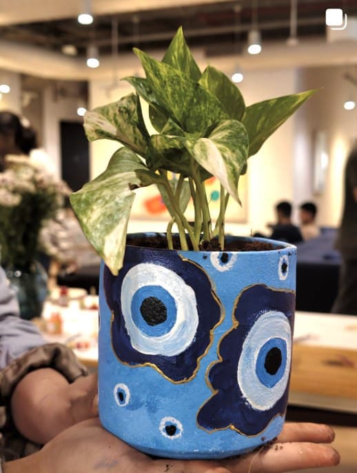 Blue evil-eye painted planter with a money plant